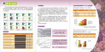 以色列化工集團(tuán)（ICL）產(chǎn)品市場營銷策劃 以創(chuàng)新與可持續(xù)發(fā)展驅(qū)動(dòng)增長