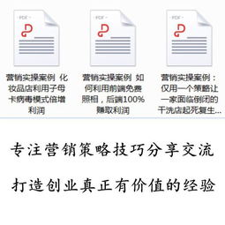 從策略到執(zhí)行 一體化廣告營銷策劃方案與實(shí)戰(zhàn)案例分析